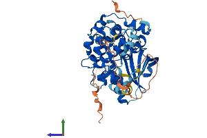 Protein Structure (PS) image for Mitogen-Activated Protein Kinase Kinase 2 (MAP2K2) (AA 1-401) protein (His tag) (ABIN7557800)