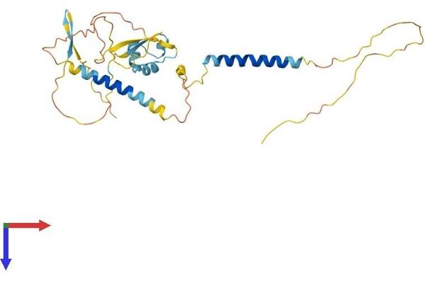 LYSMD4 Protein (AA 1-296) (His tag)