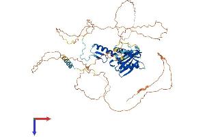 ESCO2 Protein (AA 1-601) (His tag)