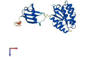 ISOC1 Protein (AA 1-297) (His tag)