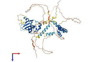 HBP1 Protein (AA 1-514) (His tag)