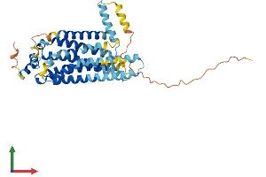 Protein Structure (PS) image for Sphingosine-1-Phosphate Receptor 4 (S1PR4) (AA 1-386) protein (His tag) (ABIN7556349)