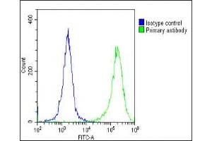 Flow Cytometry (FACS) image for anti-Villin 1 (VIL1) (AA 180-207), (N-Term) antibody (ABIN390742)