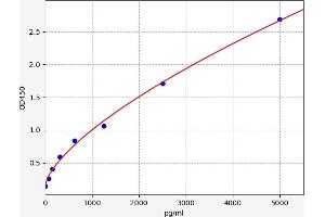 Hephaestin (HEPH) ELISA Kit