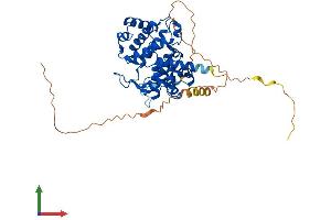 AlphaFold protein structure predicition of Human Recombinant CCNE1 Protein, UniprotID P24864