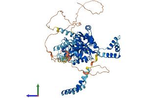 Protein Structure (PS) image for Membrane Protein, Palmitoylated 5 (MAGUK P55 Subfamily Member 5) (MPP5) (AA 1-675) protein (His tag) (ABIN7554586)