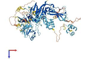 USP13 Protein (AA 1-863) (His tag)