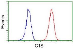 Image no. 6 for anti-Complement Component 1, S Subcomponent (C1S) antibody (ABIN1497565) (C1S Antikörper)