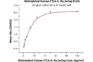 Immobilized Human B7-1, Fc Tag (ABIN2180846,ABIN2180845) at 2 μg/mL (100 μL/well) can bind Biotinylated Human CTLA-4, His,Avitag (ABIN5954957,ABIN6253636) with a linear range of 0.