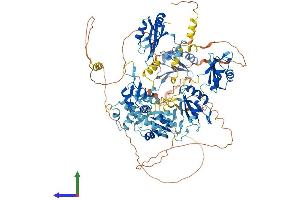 Protein Structure (PS) image for RNA Binding Motif Protein 19 (RBM19) (AA 1-952) protein (His tag) (ABIN7559729)