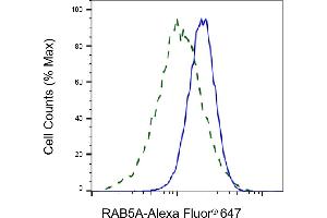 Validation of RAB5A knockdown using flow cytometry. (Rekombinanter RAB5 Antikörper)