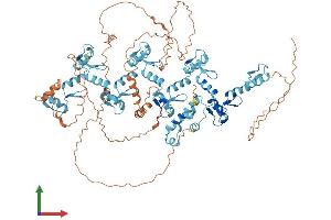 AlphaFold protein structure predicition of Human Recombinant ZNF484 Protein, UniprotID Q5JVG2