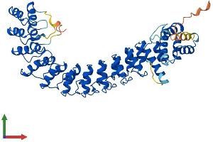 AlphaFold protein structure predicition of Human Recombinant ANKDD1A Protein, UniprotID Q495B1