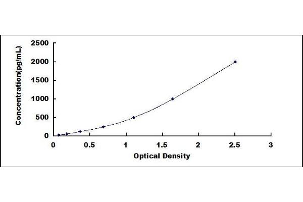 Klotho ELISA Kit