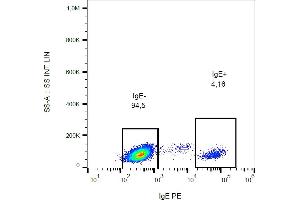 Flow cytometry analysis (surface staining) of IgE in human peripheral blood with anti-IgE (BE5) PE. (Maus anti-Human IgE Antikörper (PE))