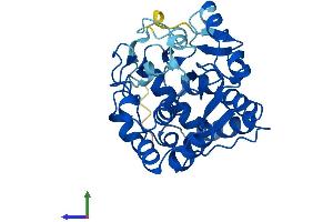 AlphaFold protein structure predicition of Human Recombinant SULT1C3 Protein, UniprotID Q6IMI6