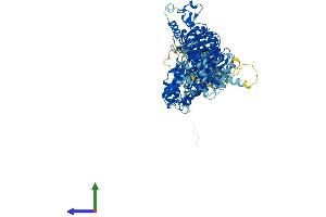 Protein Structure (PS) image for Hect Domain and RLD 5 (HERC5) (AA 1-1024) protein (His tag) (ABIN7554109)