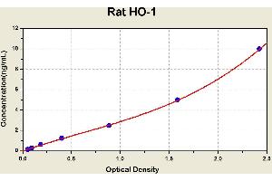 Diagramm of the ELISA kit to detect Rat HO-1with the optical density on the x-axis and the concentration on the y-axis. (HMOX1 ELISA Kit)