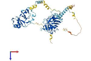 PPIL2 Protein (AA 1-520) (His tag)