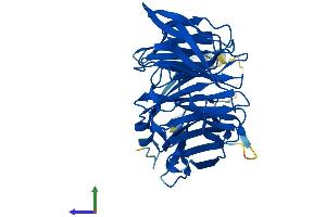 AlphaFold protein structure predicition of Mouse Recombinant Arpc1a Protein, UniprotID Q9R0Q6