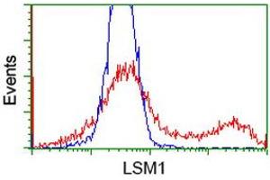 HEK293T cells transfected with either RC200288 overexpress plasmid (Red) or empty vector control plasmid (Blue) were immunostained by anti-LSM1 antibody (ABIN2454739), and then analyzed by flow cytometry. (LSM1 Antikörper  (AA 1-133))