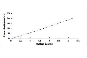 Typical standard curve (SNCAIP ELISA Kit)