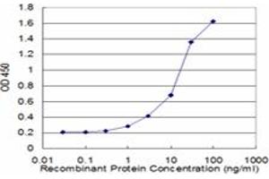 Detection limit for recombinant GST tagged HIP1 is approximately 1ng/ml as a capture antibody. (HIP1 Antikörper  (AA 928-1037))
