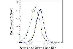 Flow cytometric analysis of Annexin A6 expression in HepG2 cells using Annexin A6 antibody (ABIN7797623), 1:2,000). (Rekombinanter ANXA6 Antikörper)