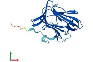 Protein Structure (PS) image for Chromosome 16 Open Reading Frame 80 (C16orf80) (AA 1-193) protein (His tag) (ABIN7558883)