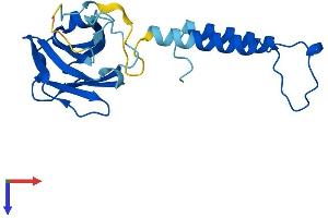 C11orf73 Protein (AA 1-197) (His tag)