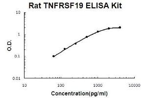 Rat TNFRSF19/TROY PicoKine ELISA Kit standard curve (TNFRSF19 ELISA Kit)