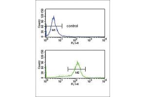 Flow Cytometry (FACS) image for anti-DEAD (Asp-Glu-Ala-Asp) Box Polypeptide 39 (DDX39) antibody (ABIN3003892)