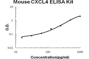 Mouse CXCL4/PF4 PicoKine ELISA Kit standard curve (PF4 ELISA Kit)