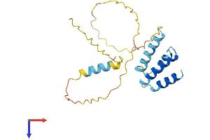 AlphaFold protein structure predicition of Human Recombinant CT45A2 Protein, UniprotID Q5DJT8