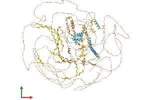 Protein Structure (PS) image for Collagen, Type XVII, alpha 1 (COL17A1) (AA 1-1497) protein (His tag) (ABIN7553543)