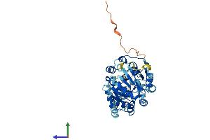 Protein Structure (PS) image for Eukaryotic Translation Initiation Factor 4A2 (EIF4A2) (AA 1-407) protein (His tag) (ABIN7548522)