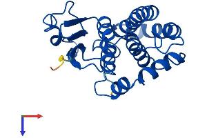 GSTM5 Protein (AA 1-224) (His tag)