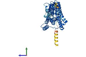 Protein Structure (PS) image for Cystinosis, Nephropathic (CTNS) (AA 1-367) protein (His tag) (ABIN7556505)
