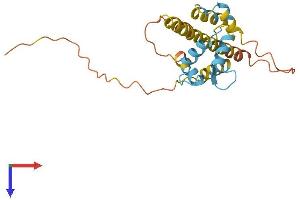 CABP7 Protein (AA 1-215) (His tag)