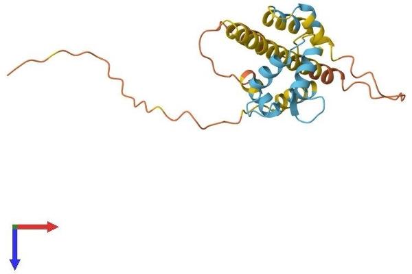 CABP7 Protein (AA 1-215) (His tag)