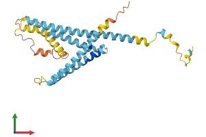 Protein Structure (PS) image for Lysosomal Protein Transmembrane 5 (LAPTM5) (AA 1-261) protein (His tag) (ABIN7557675)