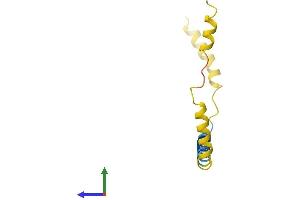 Protein Structure (PS) image for Dexamethasone-Induced Transcript (DEXI) (AA 1-95) protein (His tag) (ABIN7556288)