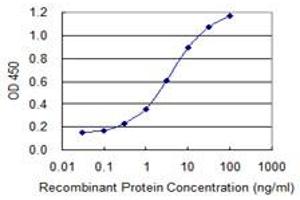 Detection limit for recombinant GST tagged CD3E is 0. (CD3 epsilon Antikörper  (AA 23-207))