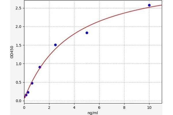 FGFR3 ELISA Kit