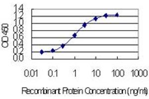 Detection limit for recombinant GST tagged CCDC12 is 0.