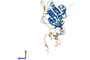 Protein Structure (PS) image for Elongator Acetyltransferase Complex Subunit 4 (ELP4) (AA 1-424) protein (His tag) (ABIN7547338)