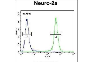 Flow cytometric analysis of Neuro-2a cells (right histogram) compared to a negative control cell (left histogram). (JOSD2 Antikörper  (N-Term))