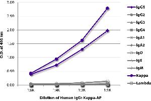 ELISA image for Human IgG1 isotype control (Alkaline Phosphatase (AP)) (ABIN375647)