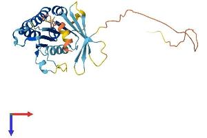 SWSAP1 Protein (AA 1-278) (His tag)