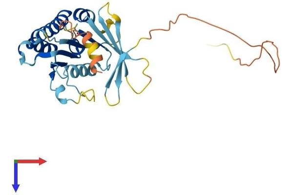 SWSAP1 Protein (AA 1-278) (His tag)